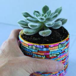 Colorful Indoor Mini Planter, Bright & Vibrant Statement Small Pot - thumbnail 3