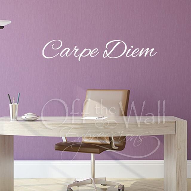 Carpe Diem Vinyl Decal, Seize The Day Wall Art, Inspirational Words - image 1