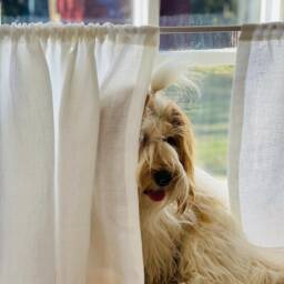 Curtains. Simple Natural Linen Curtain. White Cafe Farmhouse Kitchen Window Curtain Drapes. Custom - thumbnail 3