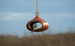 Decorative Bird Feeder - Copper - thumbnail 1