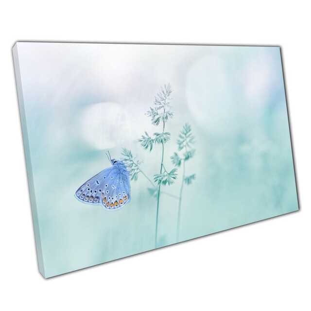 Butterfly Wall Art Print Soft Pastel Blue Insect Photography On Canvas For Home Office Decor - image 1