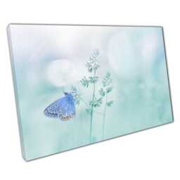 Butterfly Wall Art Print Soft Pastel Blue Insect Photography On Canvas For Home Office Decor - thumbnail 1