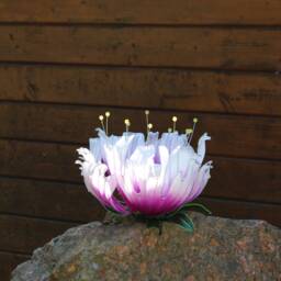 Candleholder, Candle Holder, Chandelier, Sconces, Candle, Flower Peony, Home Decoration, Garden Soft Light, Decor - thumbnail 3