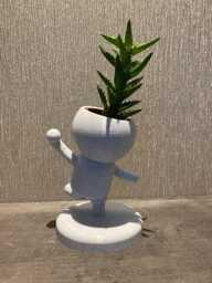 "Cricket Gift Succulent Planter ""Wee Jimmy Muralitharan The Bowler" - thumbnail 1