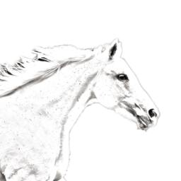 Czech Warmblood - Wooden Stand For Candles/Pens With The Image Of A Horse New Collection - thumbnail 2
