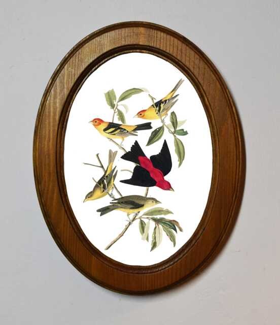 Light Oak Oval Wooden Framed Picture, John James Audubon, Louisiana Tanager, Bird Nature Art Print, Wall Hanging Vintage Style - image 1