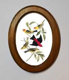 Light Oak Oval Wooden Framed Picture, John James Audubon, Louisiana Tanager, Bird Nature Art Print, Wall Hanging Vintage Style - thumbnail 1