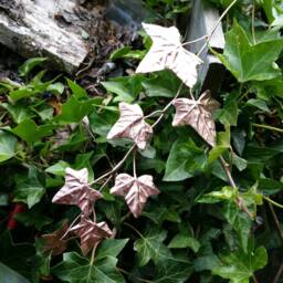 Custom 1M 50cm Metal Ivy Leaf Spray, Copper Branch, Vine, Leaf, Leaves, Autumn, Artificial Leaves - thumbnail 1