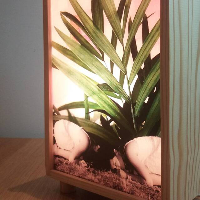 Plant & Girls Collage in Lovely Wooden Light Box, Pinewood Led Lamp, Night With Girl Art, Wood Lightbox, Desk Lamp .#rocks - image 1