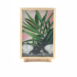 Plant & Girls Collage in Lovely Wooden Light Box, Pinewood Led Lamp, Night With Girl Art, Wood Lightbox, Desk Lamp .#rocks - thumbnail 3