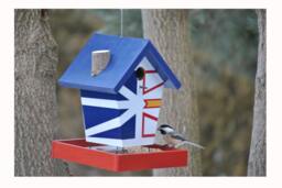 Newfoundland Bird Feeder