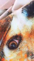 Dalmatian Dog Pet Spotty Animal - Luxury Velvet Watercolour Cushion , Water Colour Case Cover Or & Filling - thumbnail 3