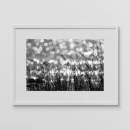Mackinac Island Beach Grass Print Black & White Nautical Photo - thumbnail 2