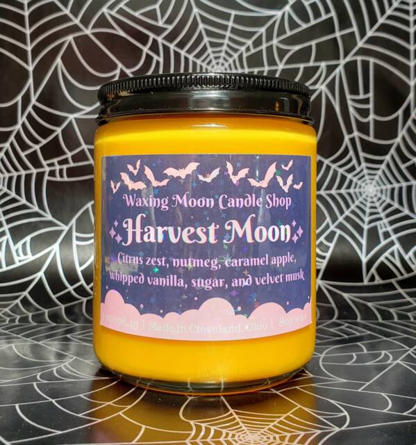 Harvest Moon 7Oz Soy Container Candle // Fall Scented Pastel Goth Decor Natural Wax