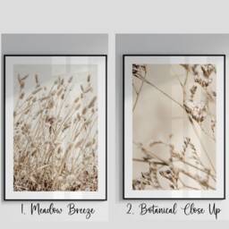 Beige Prints, Wall Art, Beach Floral Print, Botanical Art Poster, Bedroom Living Room Poster Pictures - thumbnail 2