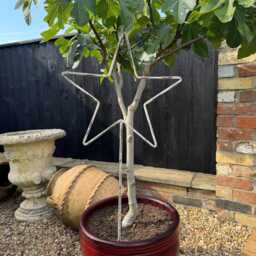 Rustic Metal Garden Star Ornament Distressed Cream Lawn Decor - thumbnail 3