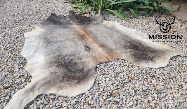 xxl Cowhide Gray Cowhide Rug Peau De Vache Cow Hide Fur Huge - image 1