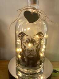 Personalised Staffordshire Bull Terrier Dog Light Up Bottle, Bottle Lamp With Gift Messaging Service & Bag - thumbnail 1