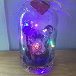 Personalised Staffordshire Bull Terrier Dog Light Up Bottle, Bottle Lamp With Gift Messaging Service & Bag - thumbnail 3