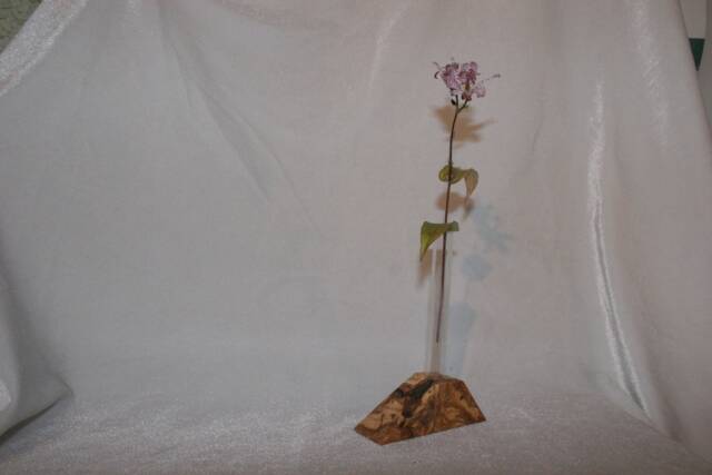 Single Bud Test Tube Vase. Spanish Olive Wood .up Cycled Glass Test Tube.free P&p in UK - image 1