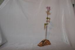 Single Bud Test Tube Vase. Spanish Olive Wood .up Cycled Glass Test Tube.free P&p in UK - thumbnail 1