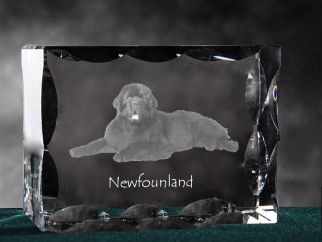 Newfoundland, Cubic Crystal With Dog, Souvenir, Decoration, Limited Edition, Collection - image 1