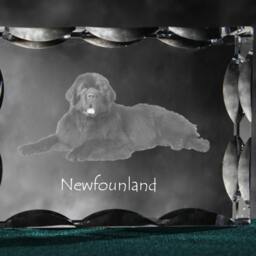 Newfoundland, Cubic Crystal With Dog, Souvenir, Decoration, Limited Edition, Collection - thumbnail 3