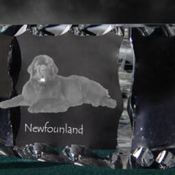 Newfoundland, Cubic Crystal With Dog, Souvenir, Decoration, Limited Edition, Collection - thumbnail 2