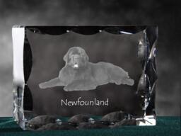 Newfoundland, Cubic Crystal With Dog, Souvenir, Decoration, Limited Edition, Collection - thumbnail 1
