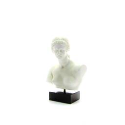 Bust Of Aphrodite Goddess Love Cast Stone , Copy From Louvre Museum - thumbnail 2