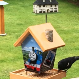 Thomas The Train Bird Feeder - thumbnail 2