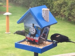 Thomas The Train Bird Feeder - thumbnail 1