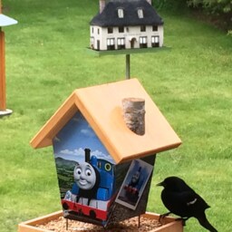 Thomas The Train Bird Feeder - thumbnail 4