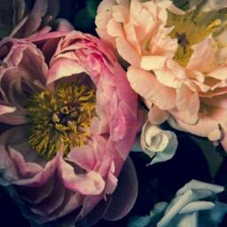 Huge Peonies Flower Wallpaper Pink Beige Flower Wall Mural Bedroom Peonies Customizable Mural Removablebeige & Pink Peony Decals - thumbnail 3
