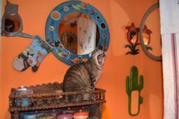 New Home Gifts, Decorative Wall Mirror, Large Round Blue Hemp House Warming Mirrors, Expensive Anniversary Gifts, Fish Lovers Mirror
