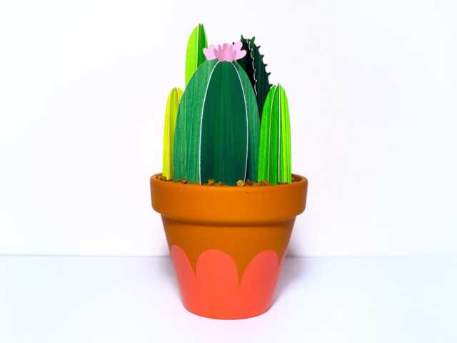 Potted Cacti Bunch, Larger Cactus Garden - image 1