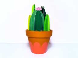 Potted Cacti Bunch, Larger Cactus Garden - thumbnail 1