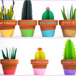 Potted Cacti Bunch, Larger Cactus Garden - thumbnail 4