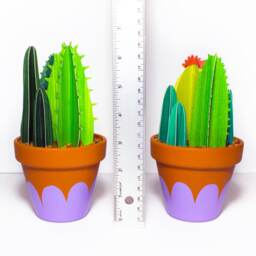 Potted Cacti Bunch, Larger Cactus Garden - thumbnail 2