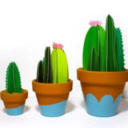 Potted Cacti Bunch, Larger Cactus Garden - thumbnail 3