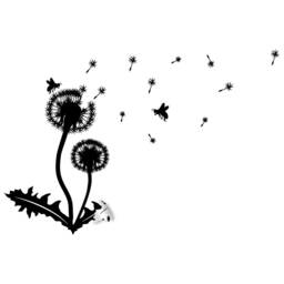 Dandelion Vinyl Sticker Wall Decal - Dandelions Art Flower Decor Nursery Decals Floral Plant Nature Seeds Cute Bedroom Blowing Stickers - thumbnail 2