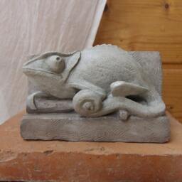 Chameleon - thumbnail 2