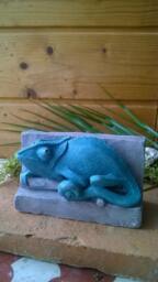 Chameleon - thumbnail 1