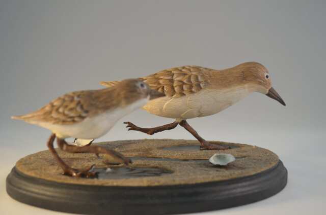 Livanbirdssandpiper, Carved Birds, Sculptured Hand Carved, Realistic Shore Bird Art, Home Decor, Wood Birds - image 1