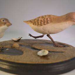Livanbirdssandpiper, Carved Birds, Sculptured Hand Carved, Realistic Shore Bird Art, Home Decor, Wood Birds - thumbnail 3