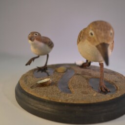 Livanbirdssandpiper, Carved Birds, Sculptured Hand Carved, Realistic Shore Bird Art, Home Decor, Wood Birds - thumbnail 2