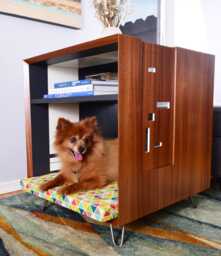 Modern Dog Bed. Side Table Furniture. Fido Mod - thumbnail 1