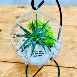 "Diy Terrarium Air Plant Kit With Porcelain Stone Message " - thumbnail 3