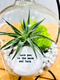 "Diy Terrarium Air Plant Kit With Porcelain Stone Message "