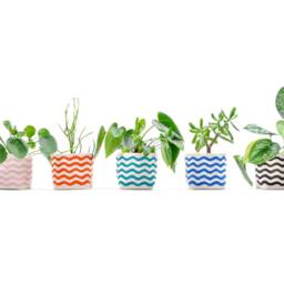 Black Wavy Line Indoor Planter, Blockprint On CanvasBucket For Succulents & Other Plants, Home Organization - thumbnail 2